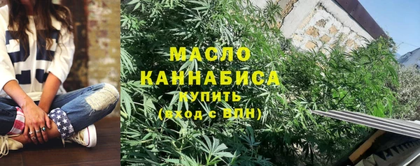 прущие грибы Каменногорск