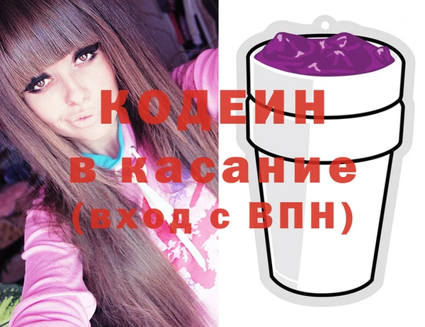 гидра Каменка