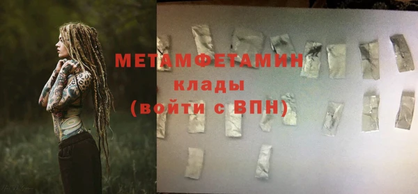 гидра Каменка