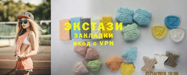 гидра Каменка