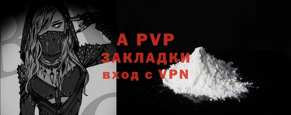 гидра Каменка