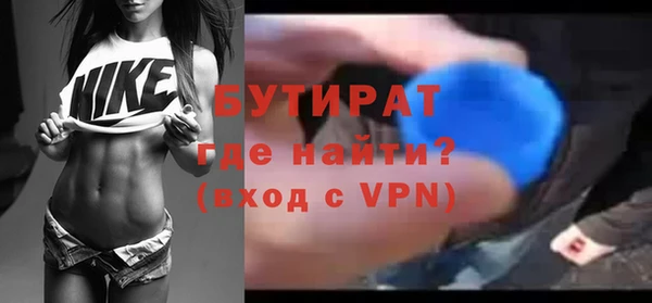 гидра Каменка