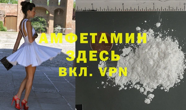 гидра Каменка