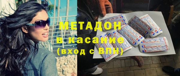 гидра Каменка