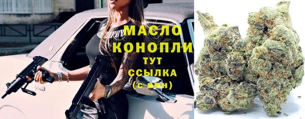 прущие грибы Каменногорск