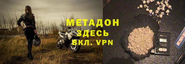 гидра Каменка