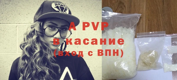 прущие грибы Каменногорск