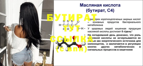 прущие грибы Каменногорск