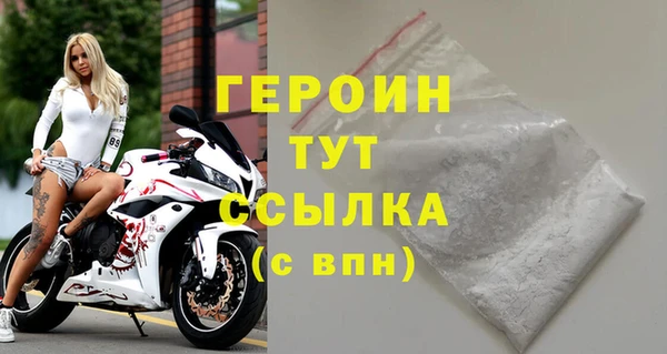 прущие грибы Каменногорск